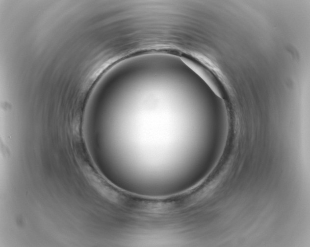 X0000091191273200708091243