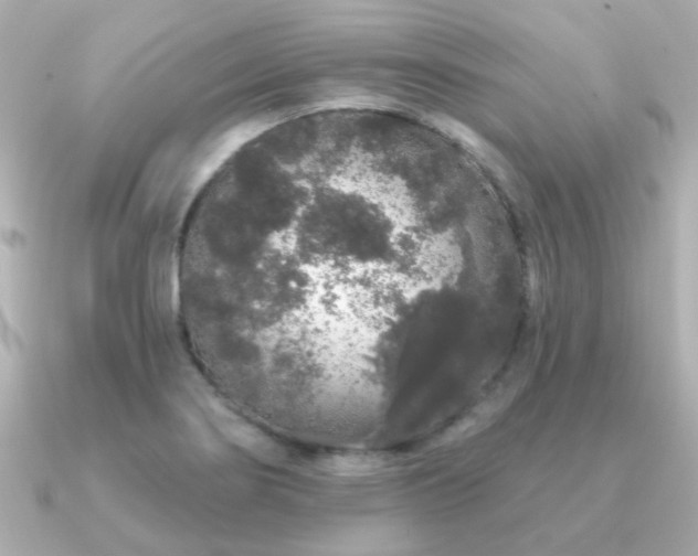 X0000091191274200708091243