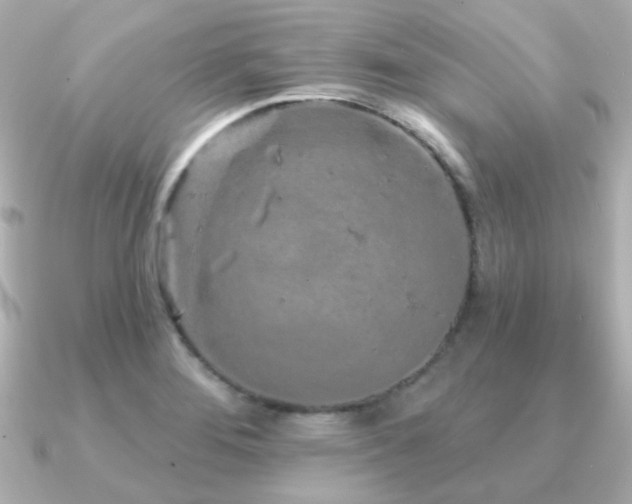X0000091191276200708091243