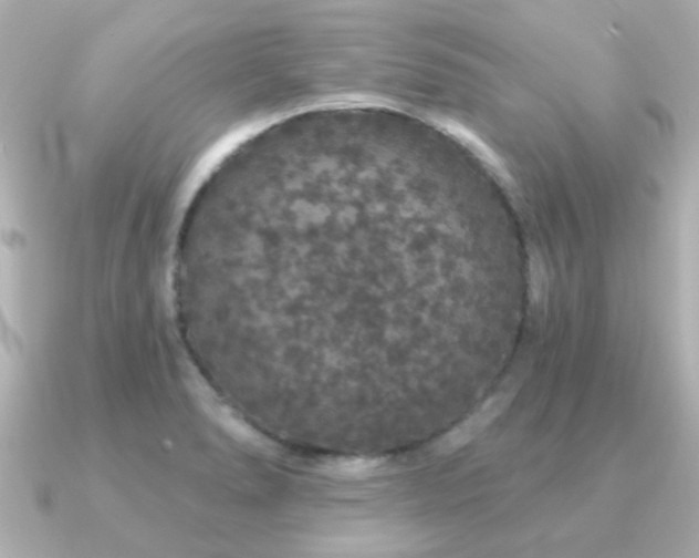 X0000091191278200708091243