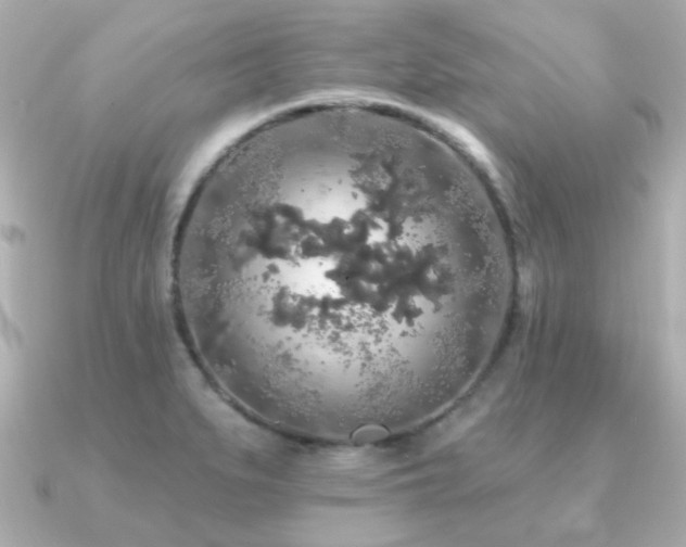 X0000091191279200708091243