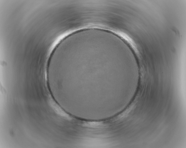 X0000091191280200708091243