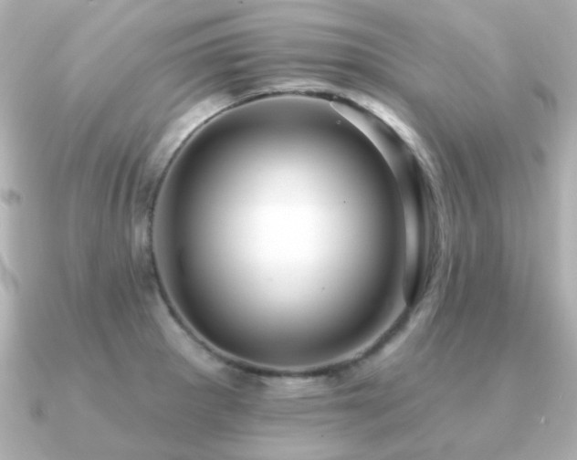 X0000091191281200708091243