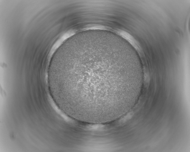 X0000091191282200708091243