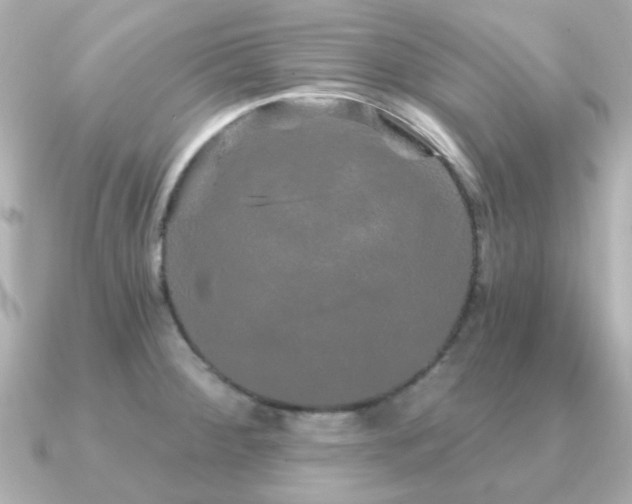 X0000091191284200708091243
