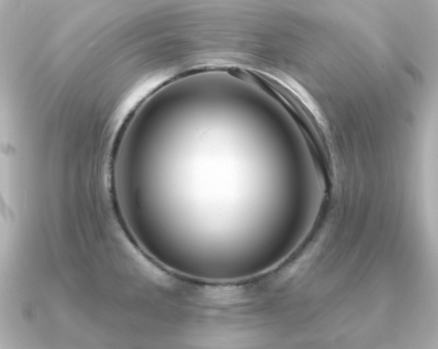 X0000091191285200708091243