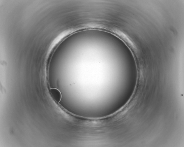 X0000091191286200708091243