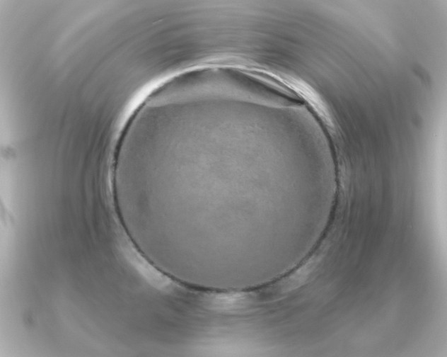 X0000091191288200708091243