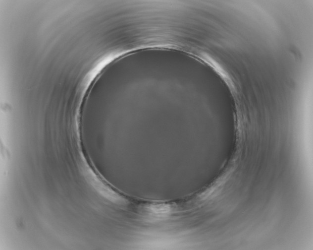 X0000091191291200708091243