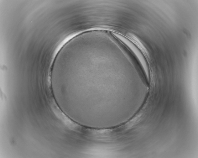 X0000091191292200708091243