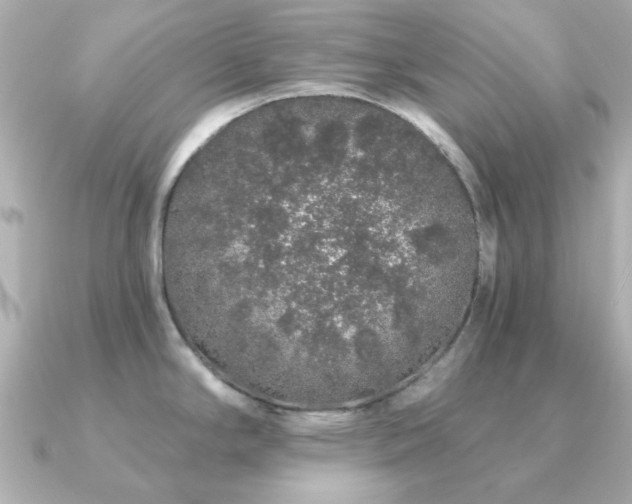 X0000091191294200708091243