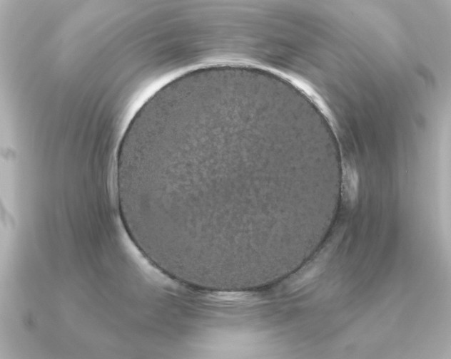 X0000091191295200708091243