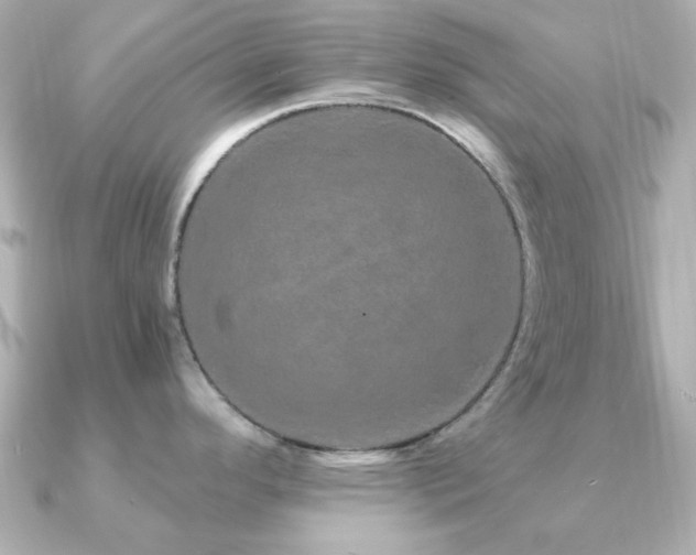 X0000091191296200708091243