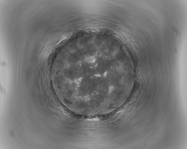 X0000091191297200708091242