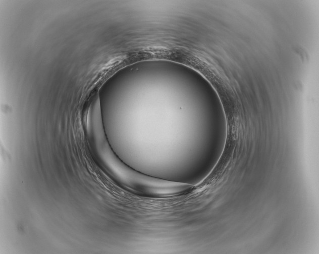 X0000091191298200708091242
