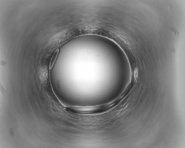 X0000091191299200708091242