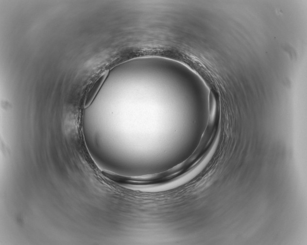 X0000091191300200708091242