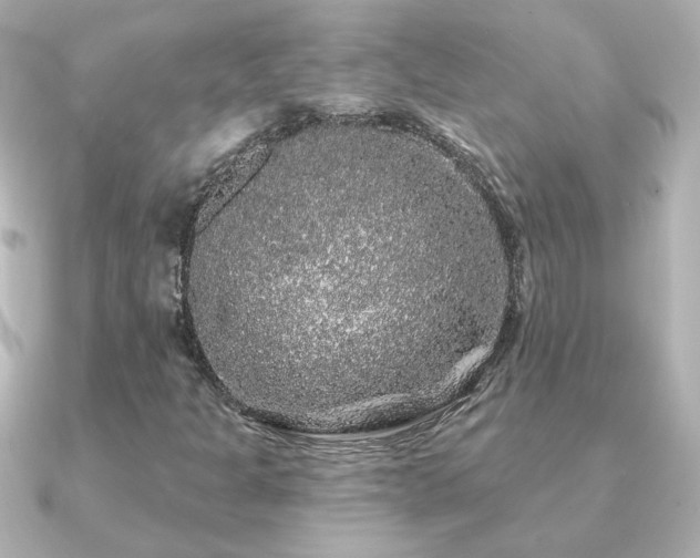 X0000091191301200708091242