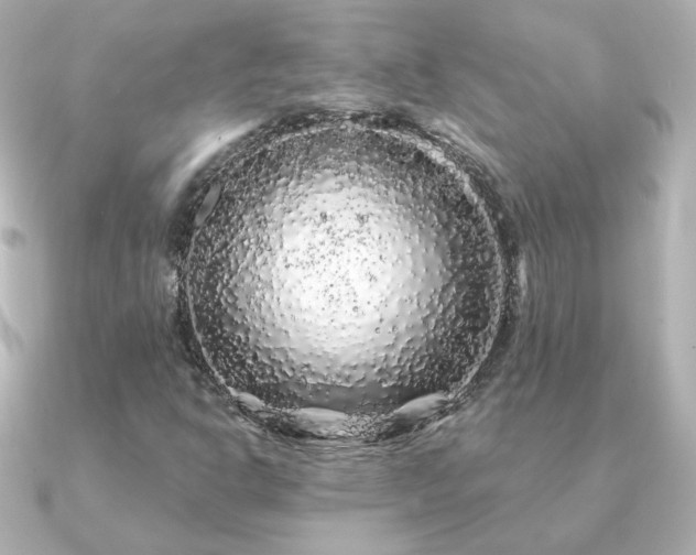 X0000091191302200708091242