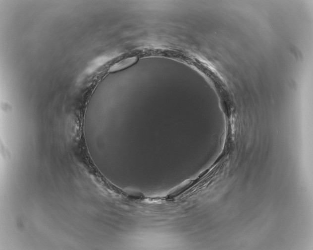 X0000091191303200708091242