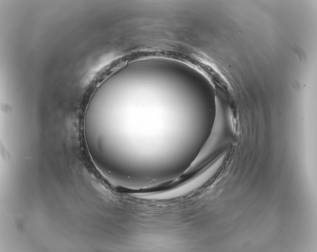X0000091191304200708091242