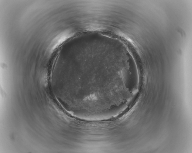 X0000091191306200708091242