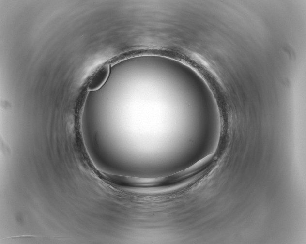 X0000091191307200708091242
