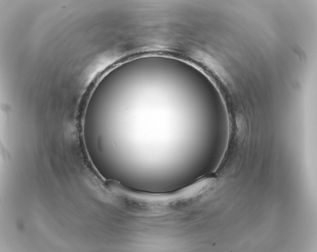 X0000091191308200708091242