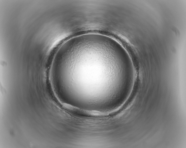 X0000091191309200708091242