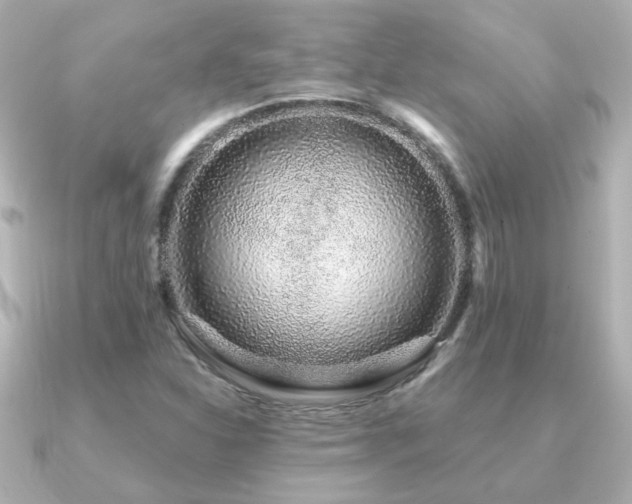 X0000091191310200708091242