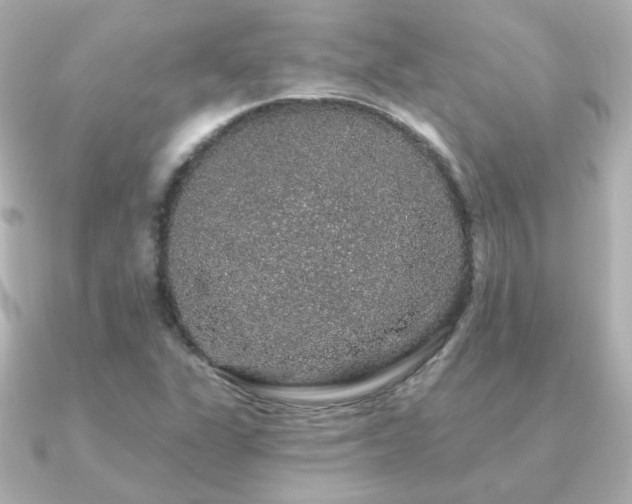 X0000091191311200708091242