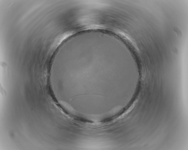 X0000091191313200708091242