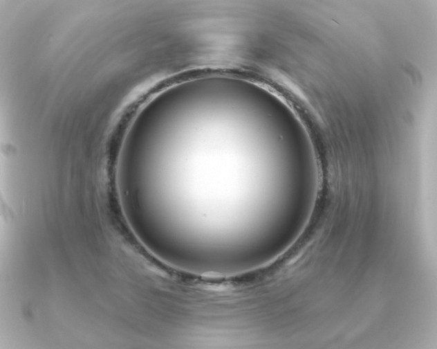 X0000091191315200708091242