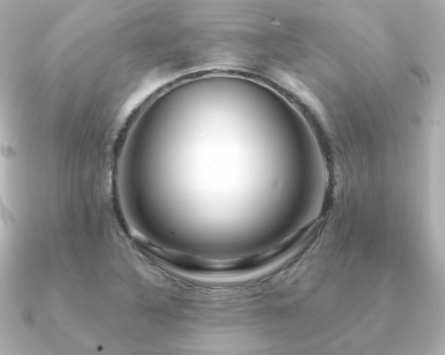 X0000091191316200708091242