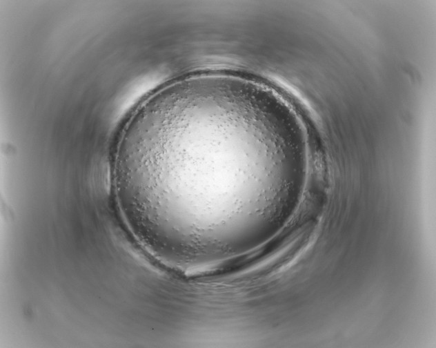 X0000091191317200708091242