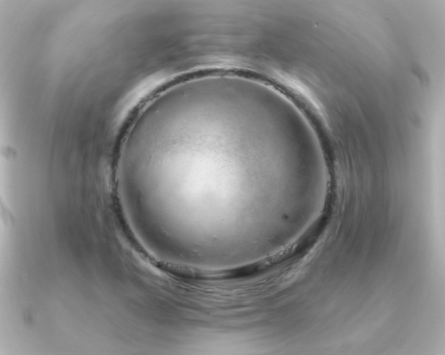 X0000091191318200708091242