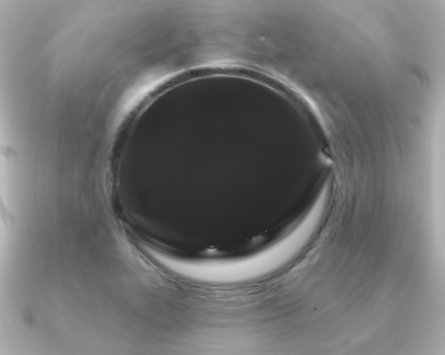 X0000091191319200708091242