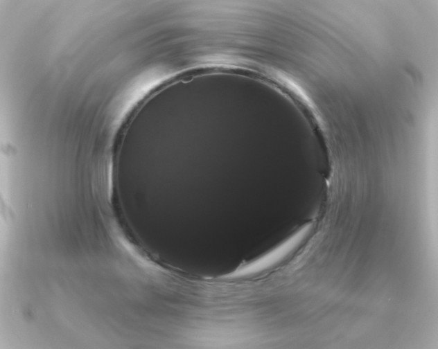 X0000091191323200708091242