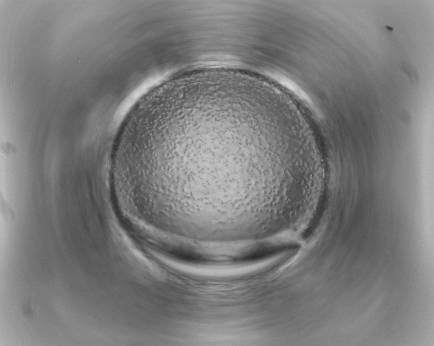 X0000091191325200708091242