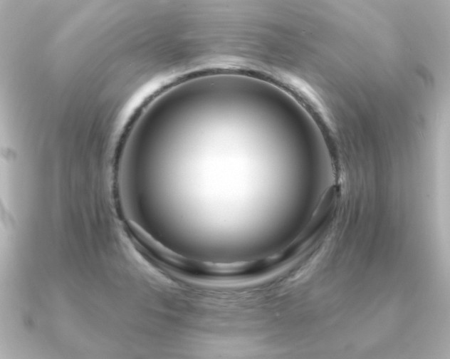 X0000091191326200708091242