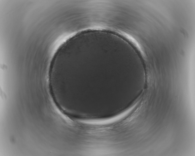 X0000091191327200708091242