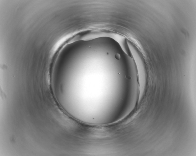 X0000091191328200708091242