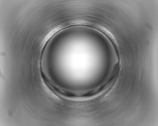 X0000091191330200708091242