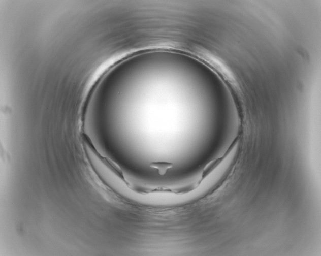 X0000091191332200708091242