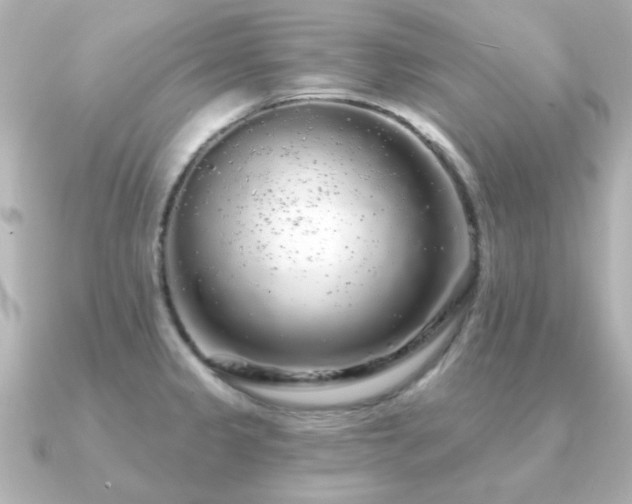 X0000091191333200708091242