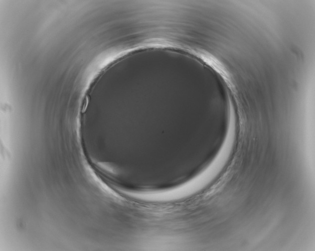 X0000091191334200708091242
