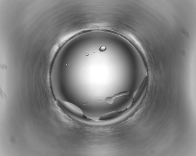 X0000091191336200708091242
