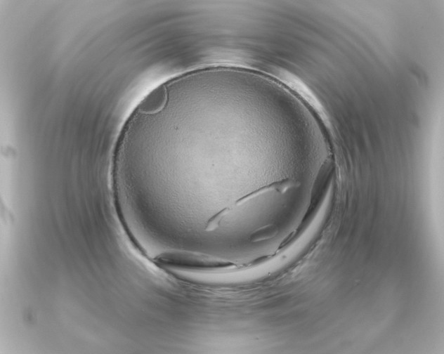 X0000091191339200708091242