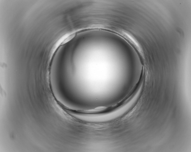 X0000091191340200708091242