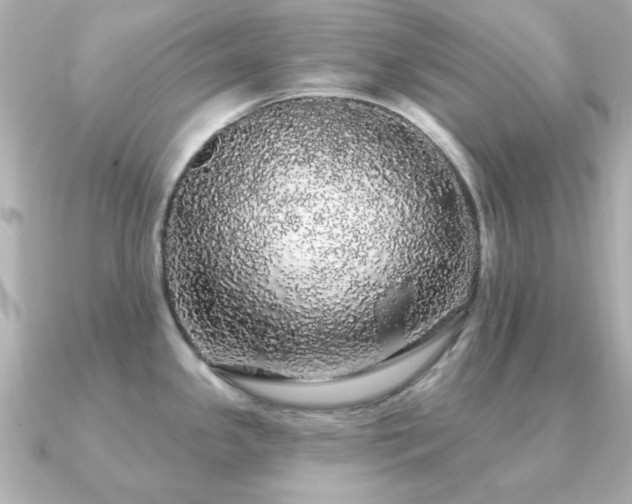 X0000091191341200708091242